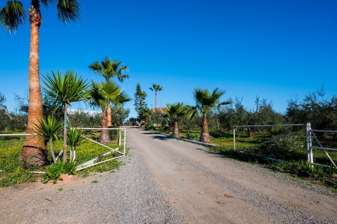 El Paraiso Del Olivar Bollullos de la Mitación المظهر الخارجي الصورة