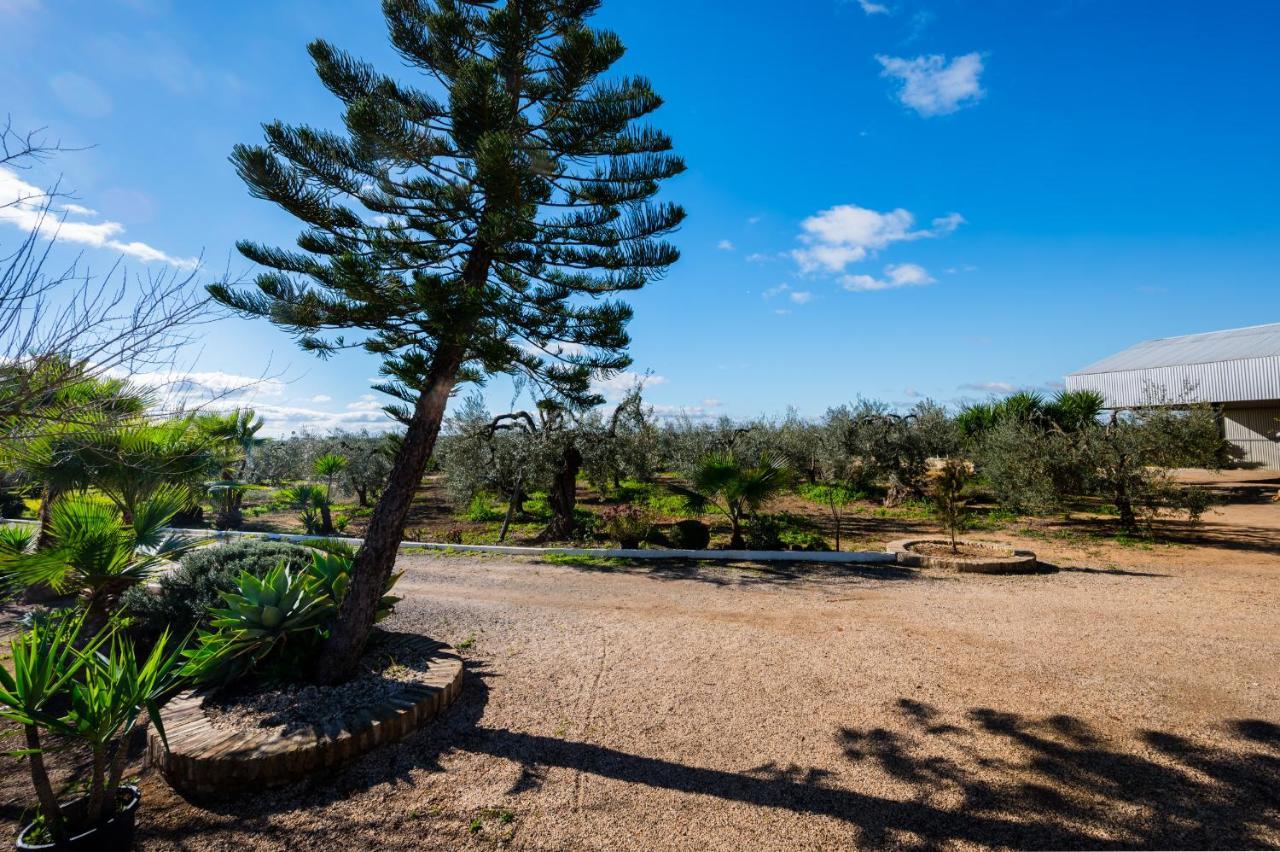 El Paraiso Del Olivar Bollullos de la Mitación المظهر الخارجي الصورة